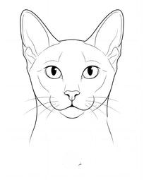 Pet portrait in delicate line art style, a single continuous line