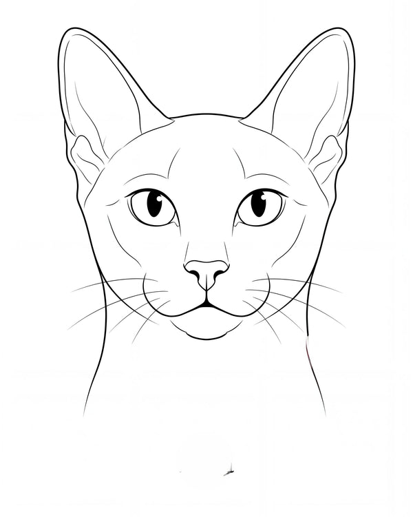 Pet portrait in delicate line art style, a single continuous line