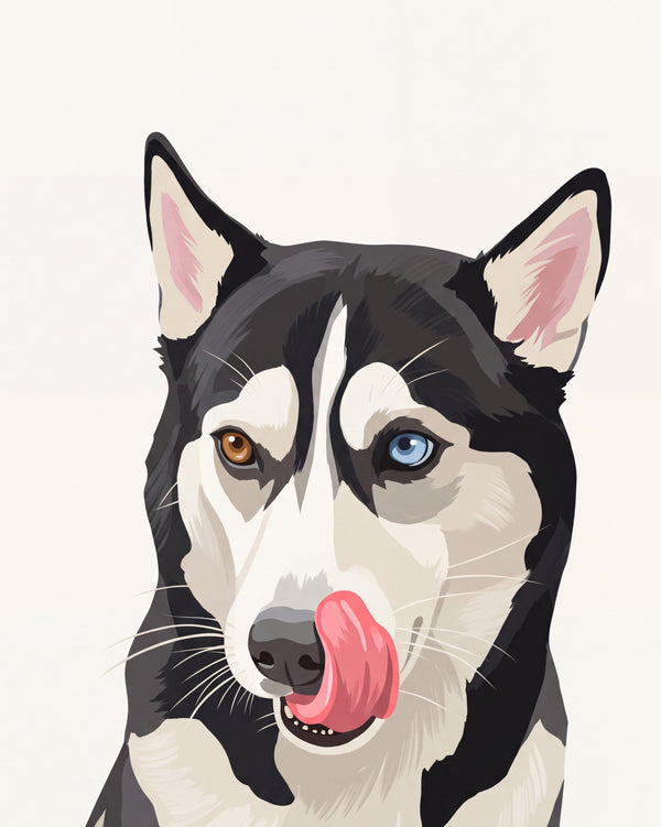 Pet portrait in bold color block style, a Siberian husky with one brown and one blue eye